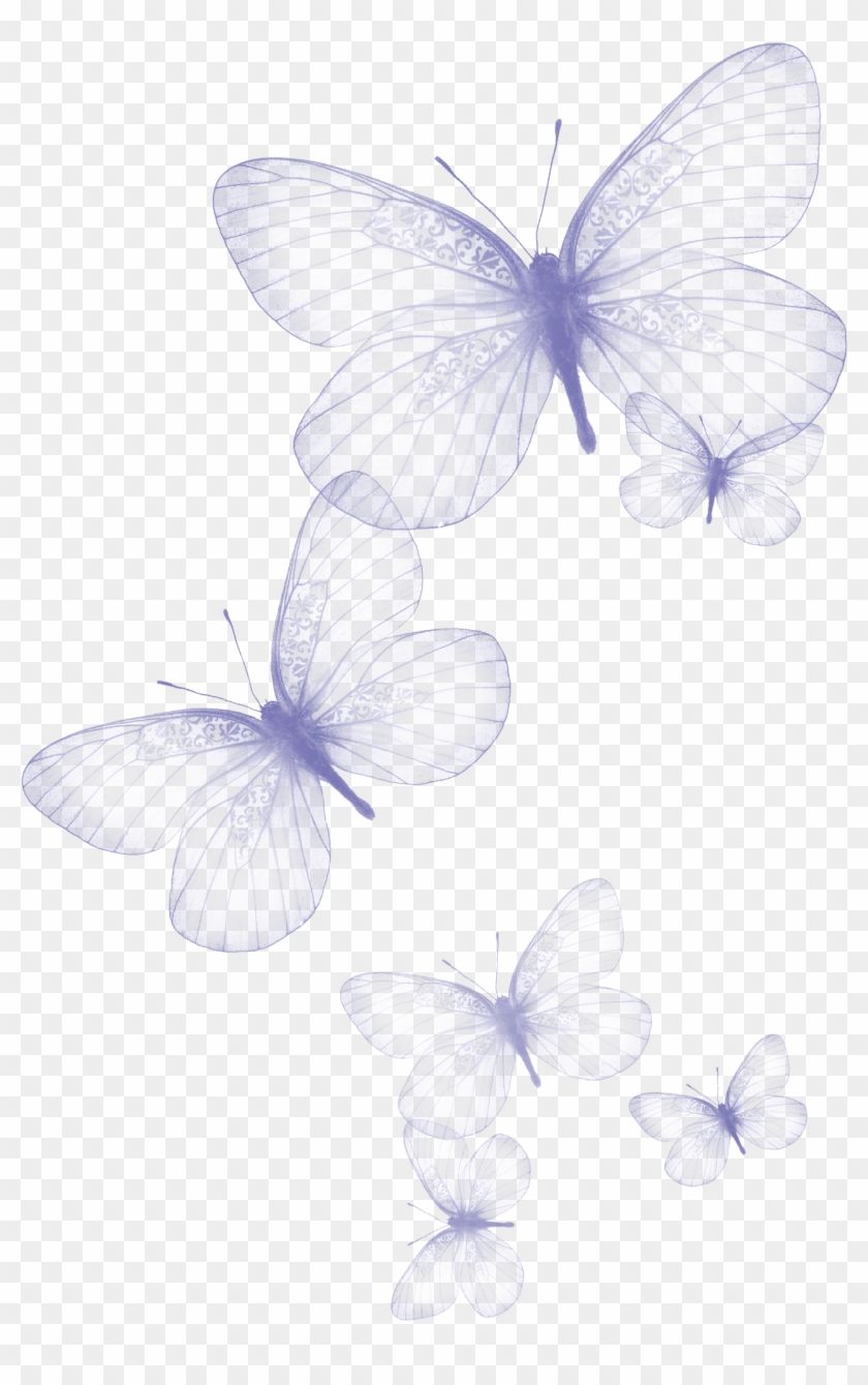 Transparent Butterfly Png Clipart Picture - Butterfly Png #468662