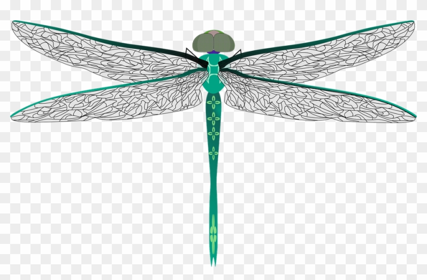 Sewing, Needle - - แมลงปอ Png #468689