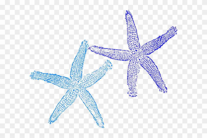 Starfish Drawing Cliparts - Starfish Clip Art Free #468747