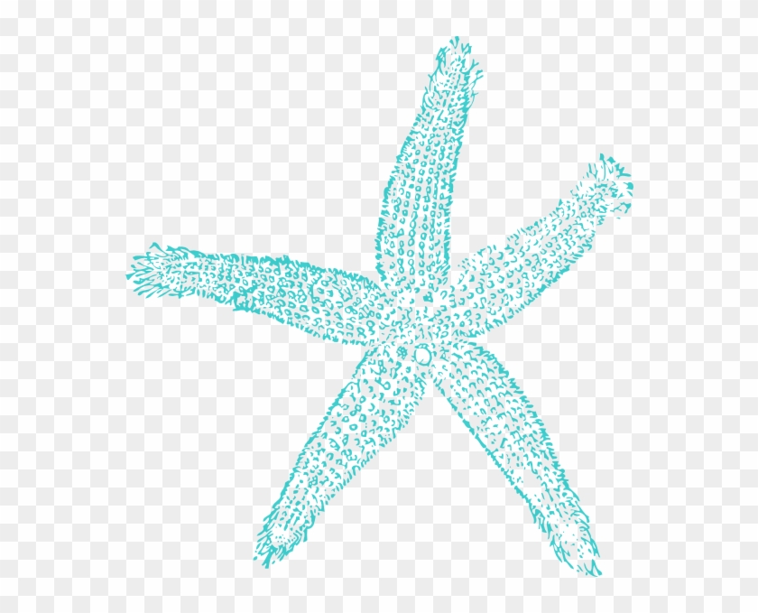 Turquoise Starfish Clip Art At Clker - Starfish Clipart Teal #468749