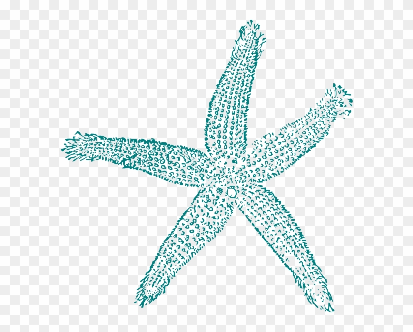 Maehr Aqua Starfish Clip Art At Mzayat - Estrella De Mar Vector #468754