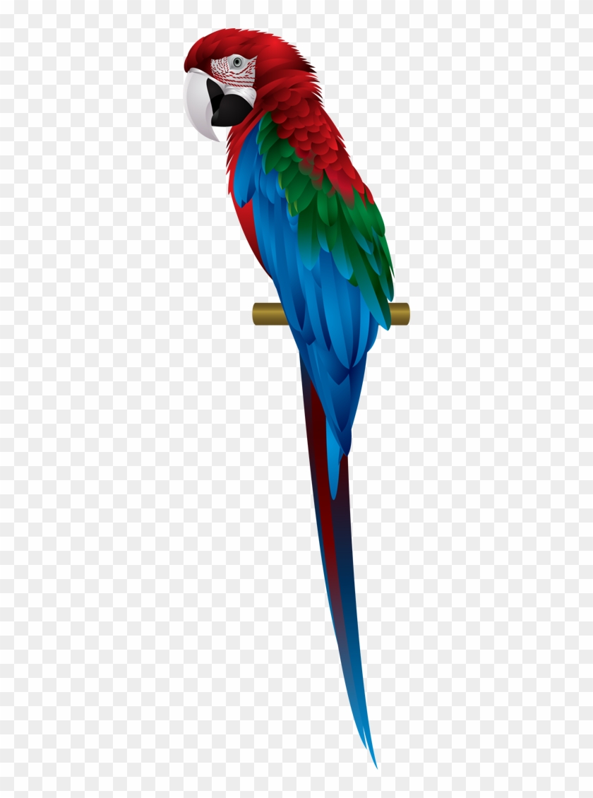 Parrot Clipart Scarlet Macaw - Red-and-green Macaw #468874