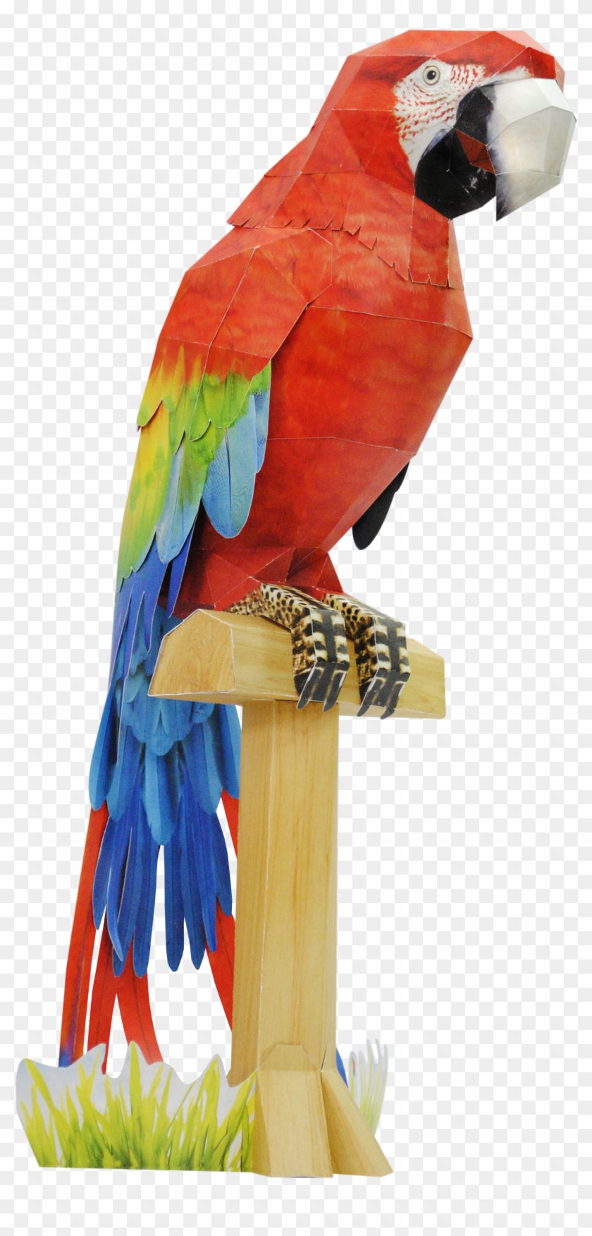 The Scarlet Macaw In Paper By Happy Www Happypapertoy - The Scarlet Macaw In Paper By Happy Www Happypapertoy #468896