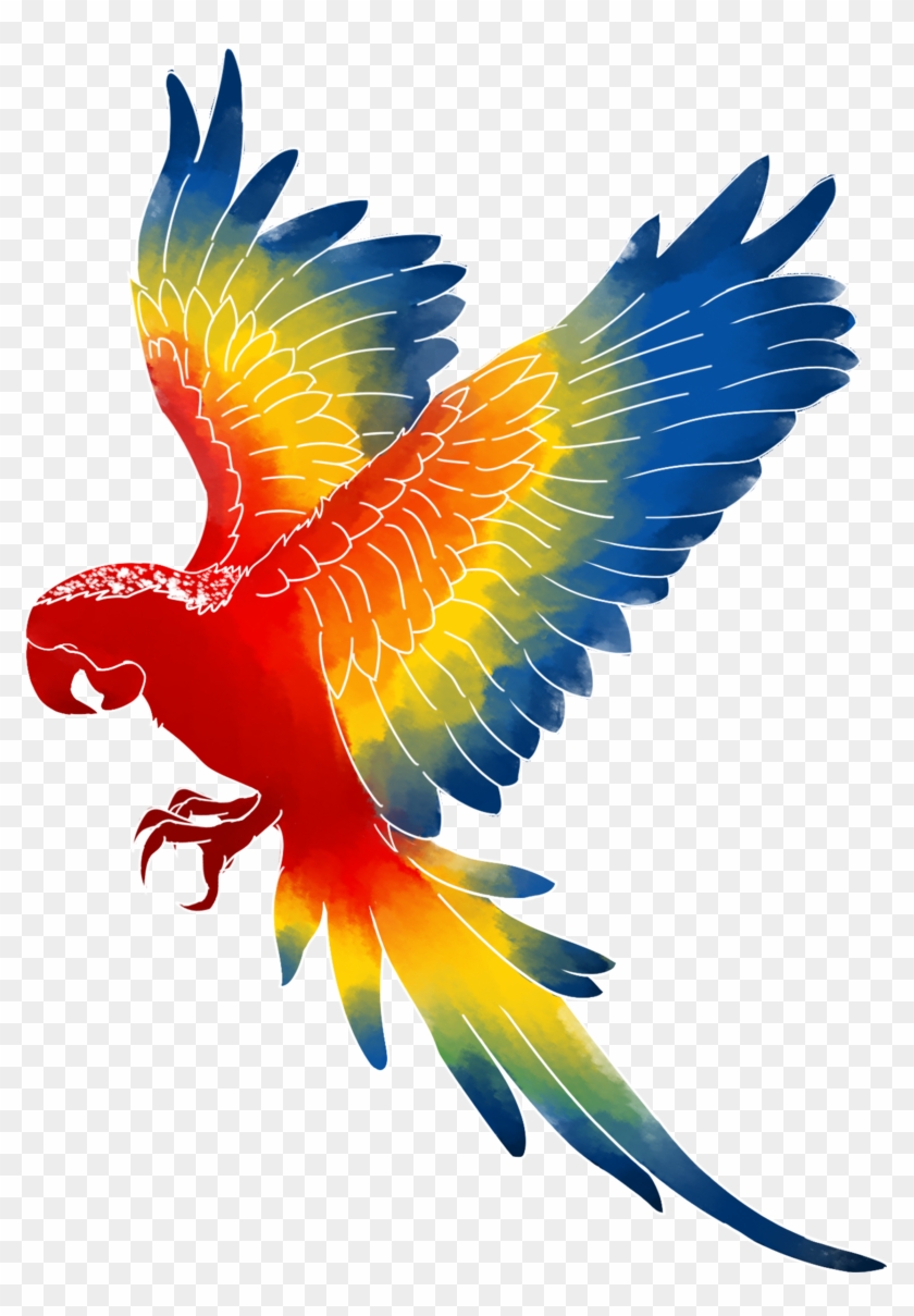 Macaw - Brazilian Macaw Parrot #468909