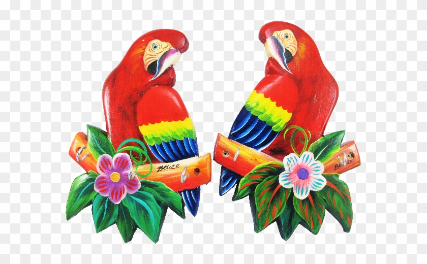 Scarlet Macaw #468931