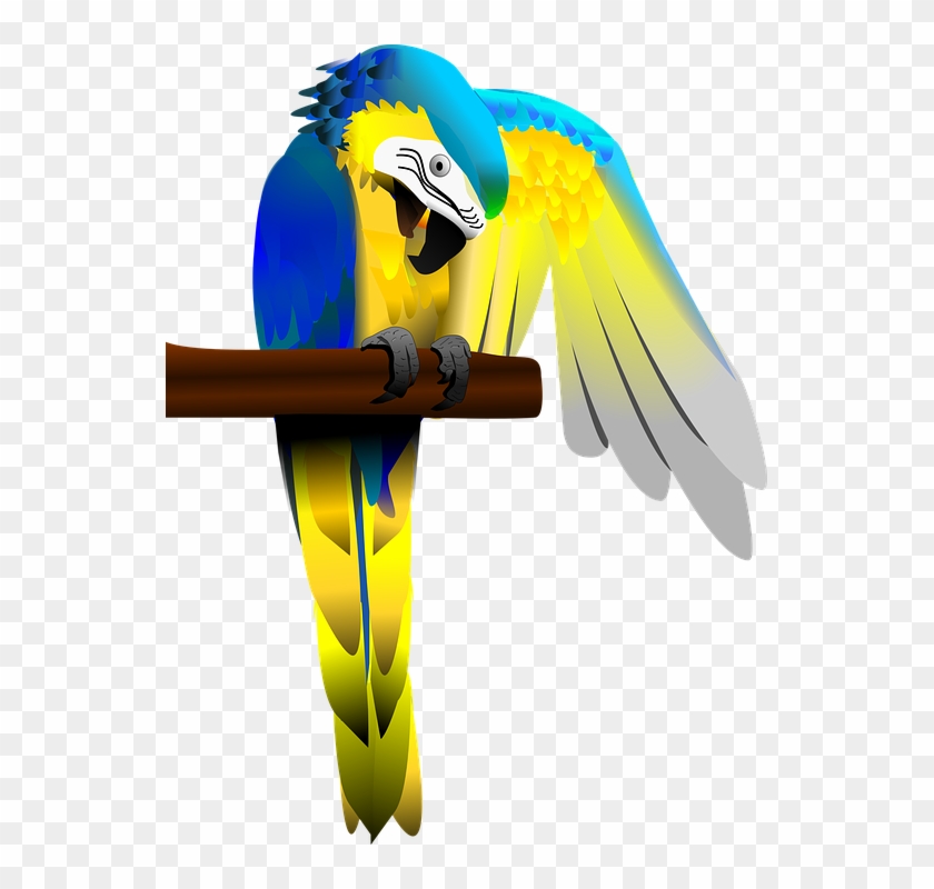 Macaw Png - Blue And Gold Macaw Transparent #468934