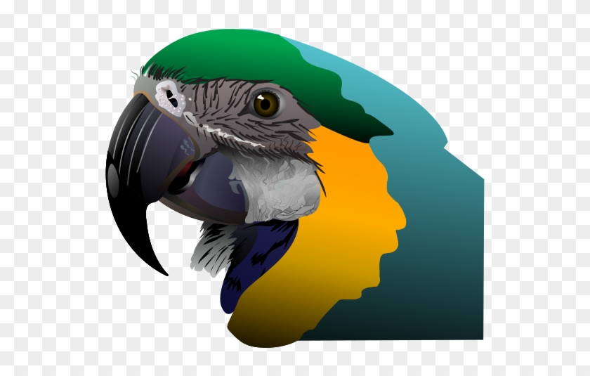 Toucan Clipart Macaw - Cafepress Parrot Iphone 7 Plus Tough Case #468939