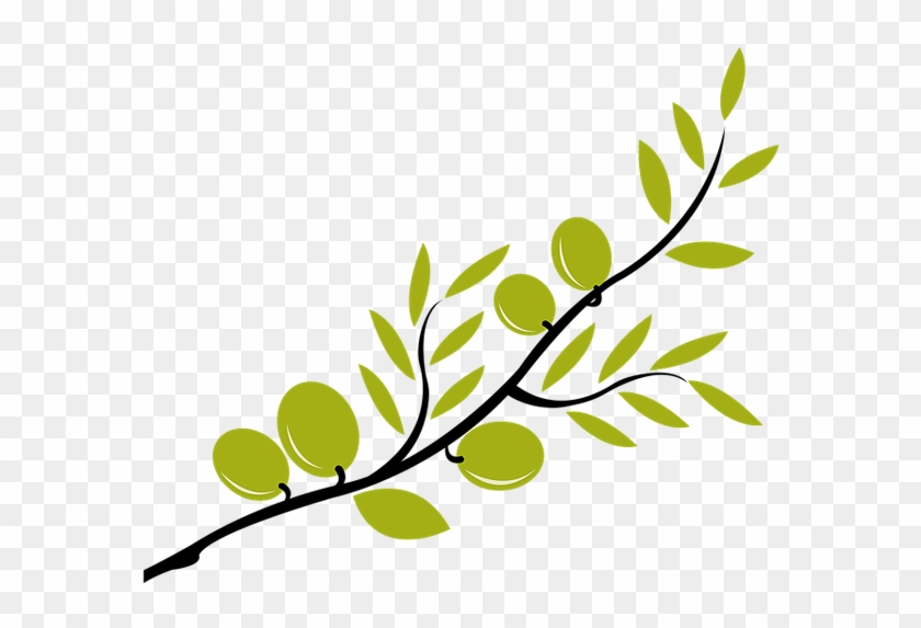 Mosaic Life Fellowship, Hebrew Roots, Congregation - Olive Branch Clip Art #468998