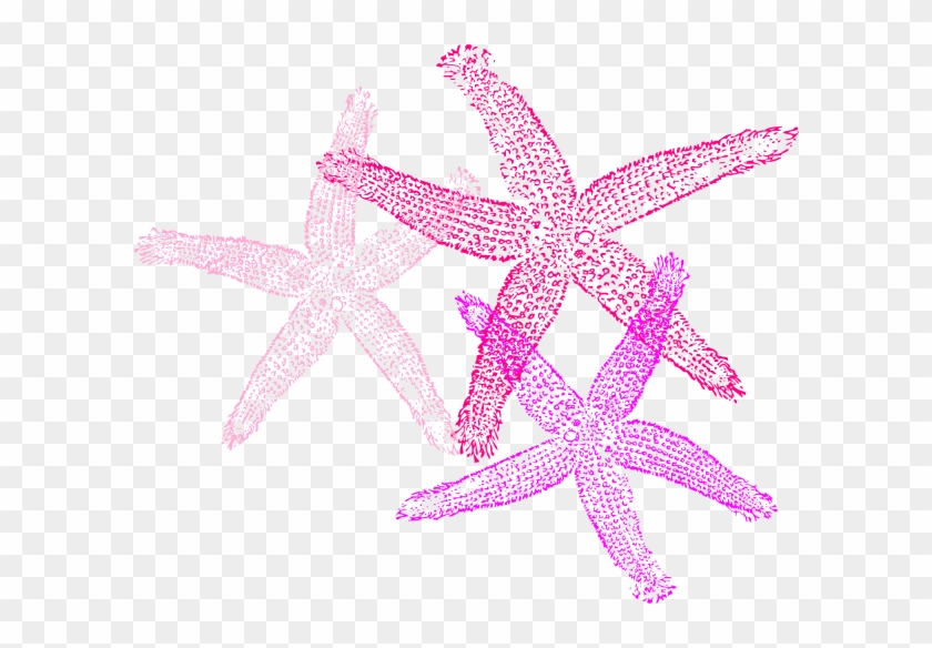 Starfish Design Png #469115