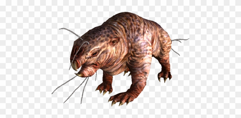 Mole Rat - Fallout 3 Mole Rat #469420