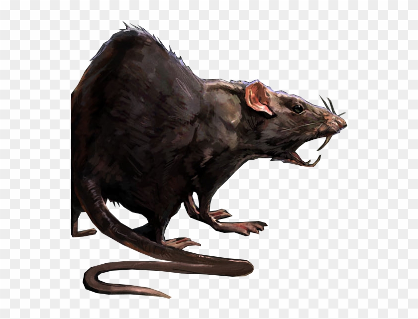 Rats - Rat Dnd #469437