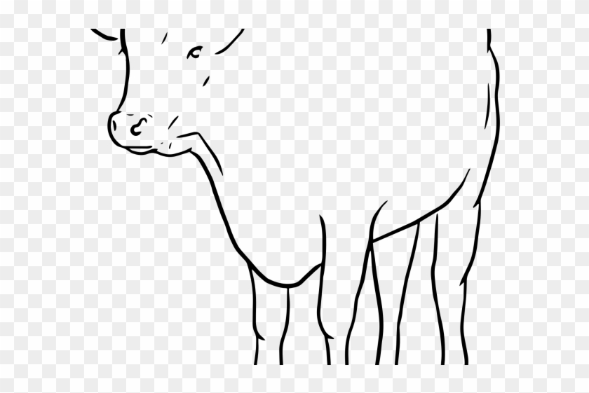 Bulls Clipart Line Drawing - Cattle #469683