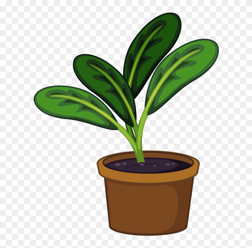 Pot Plant Clipart Transparent - Pot Plant Png Clipart #469746