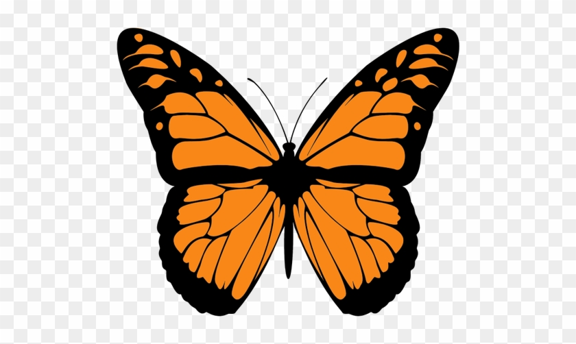 Vector Image Of Orange Butterfly With Wide Spread Wings - Draw A Monarch Butterfly #469837