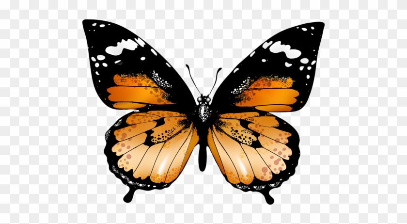 Kelebek Png Resimleri Butterfly Png - Butterflies And Moths #469851