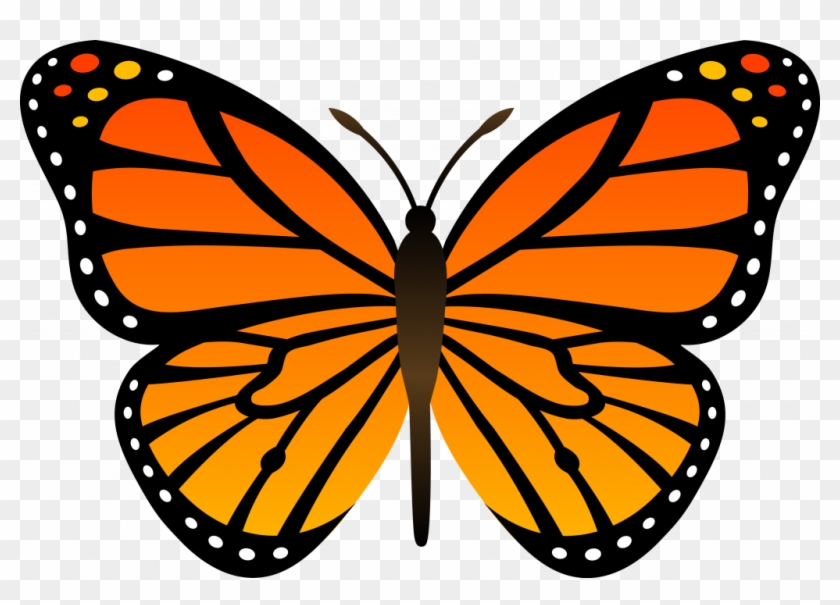 Happy Picture Of A Cartoon Butterfly Png Mart - Butterfly Clip Art #469884