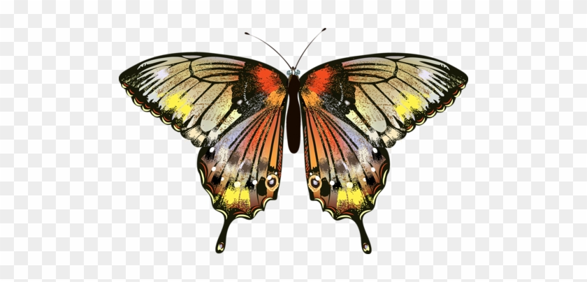 Png Kelebek Görselleri Butterfly Png - Butterfly #469930