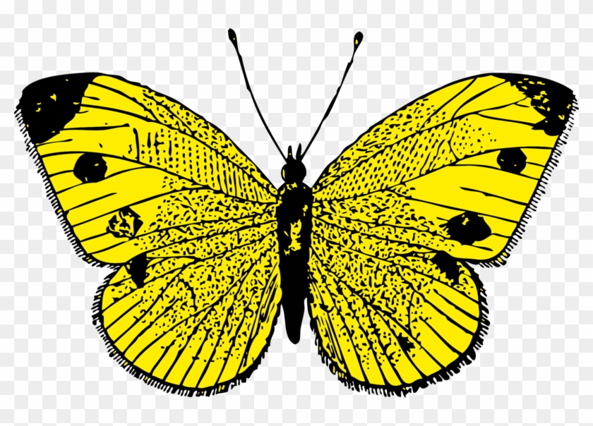 Kelebek Resimleri Yükle, Butterfly Png Pictures, Butterfly - Custom Yellow Butterfly Shower Curtain #469943