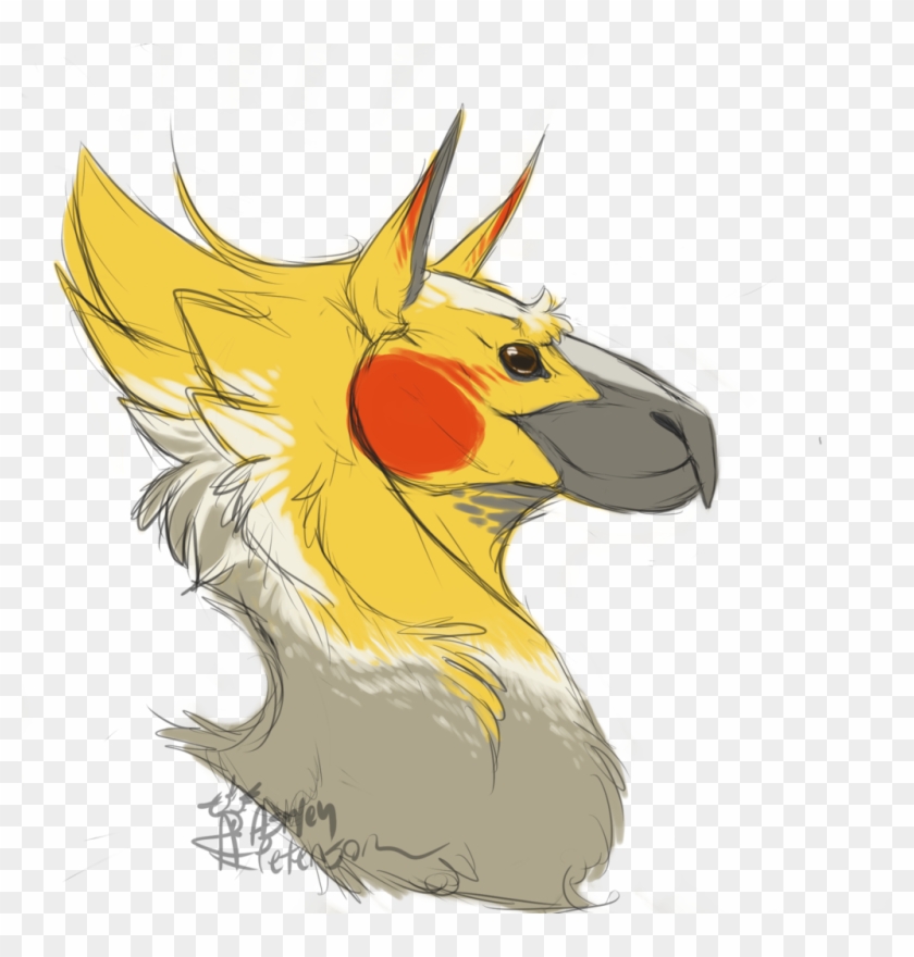 Cockatiel Hippogriff -head Shot By Mantiscat - Drawing Cockatiels #470262