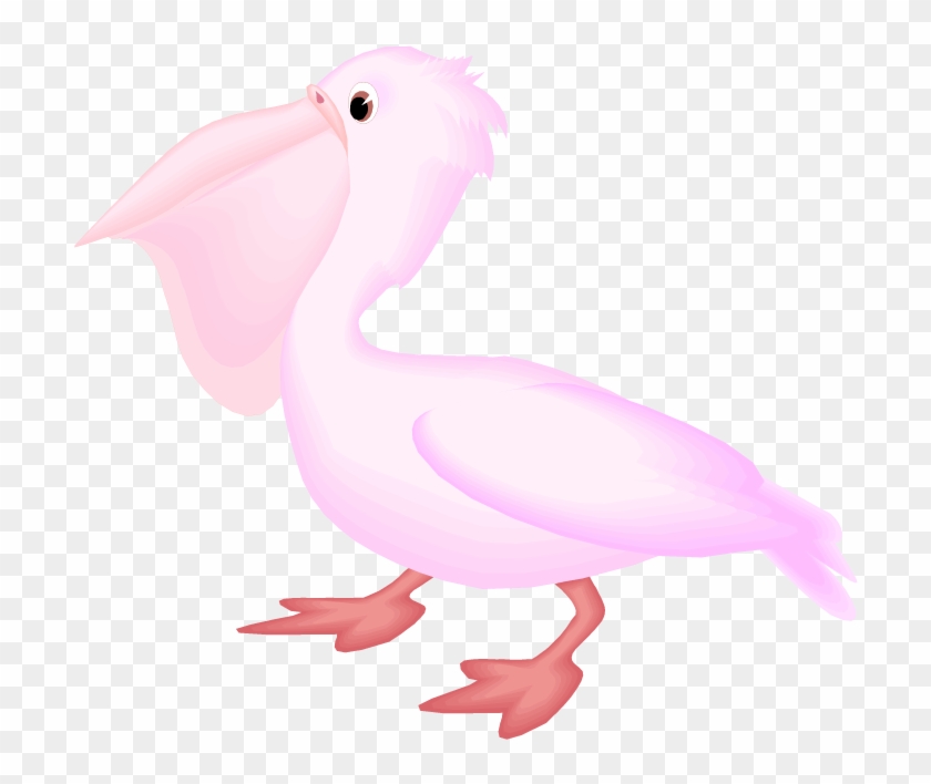 Pelican Clip Art - Clip Art #470399