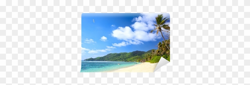 Fotomural Playa Tropical Con Palmeras Y Arena En La - Seychelles #470540