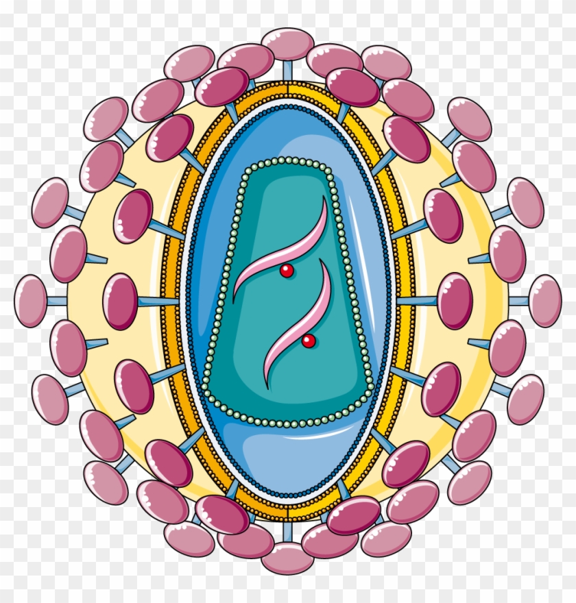 Hiv - Smart Servier Medical Art Hiv #470753