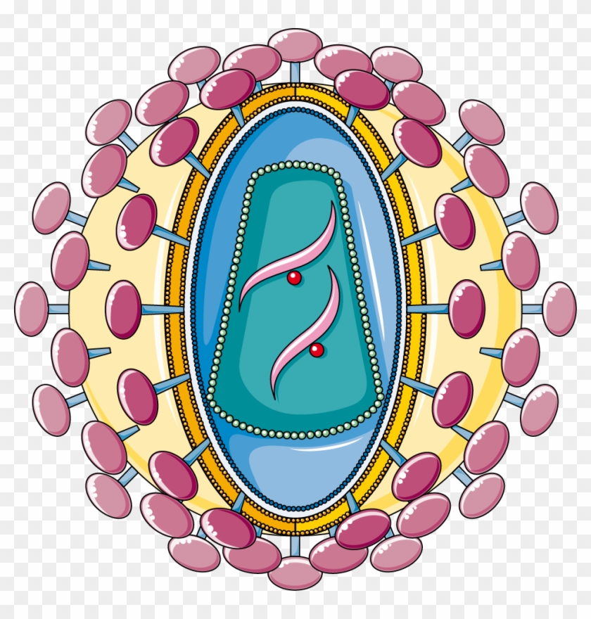 Hiv - Smart Servier Medical Art Hiv #470753