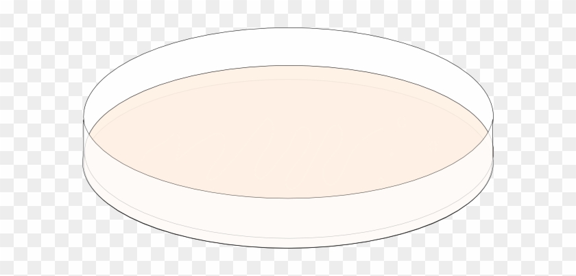 Circle #470765