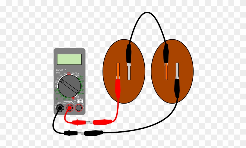 2 Potato Batteries In Series Veggie Power 2 In Series - Electric Current With A Fruit Or Vegetable Diagram #470899