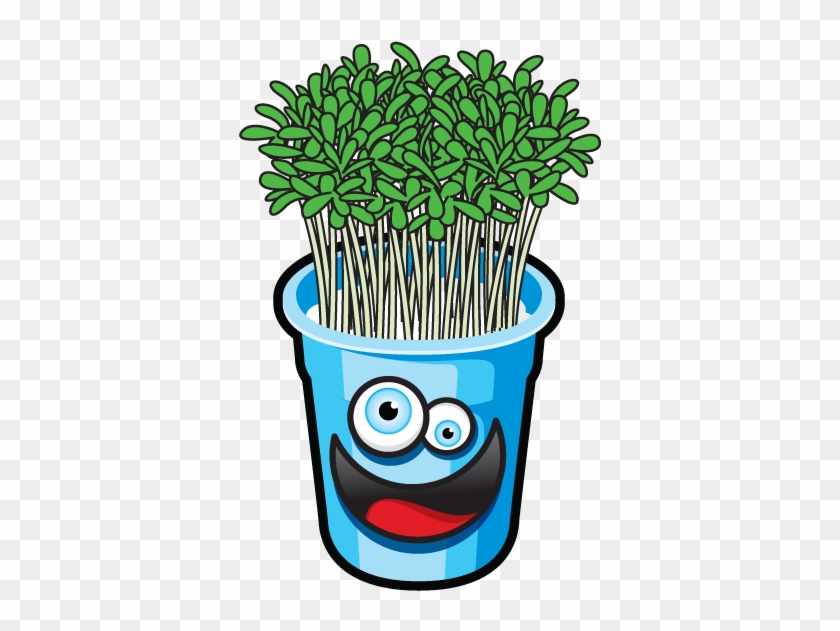 Fun Garden Activity - Garden Cress #471015