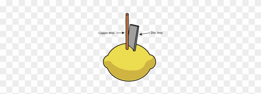 Copper-wire - Make A Lemon Battery #471182