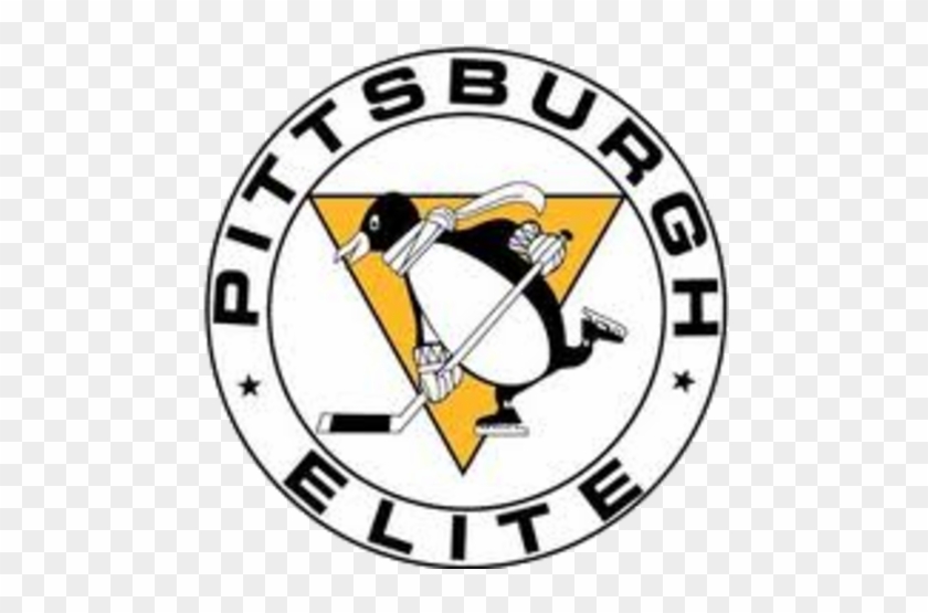 Pittsburgh Penguins Elite Logo - Pittsburgh Penguins Winter Classic 2011 #471359