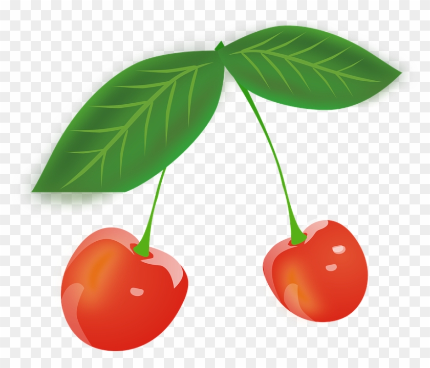 Different Leaves Clipart 15, Buy Clip Art - Gambar Buah Cherry Merah #472300