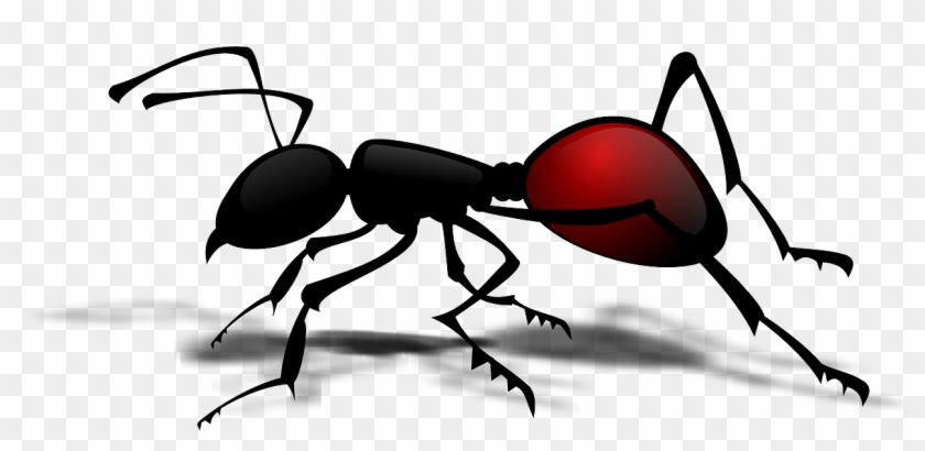 Ant Insect Clip Art - Ant Insect Clip Art #472602