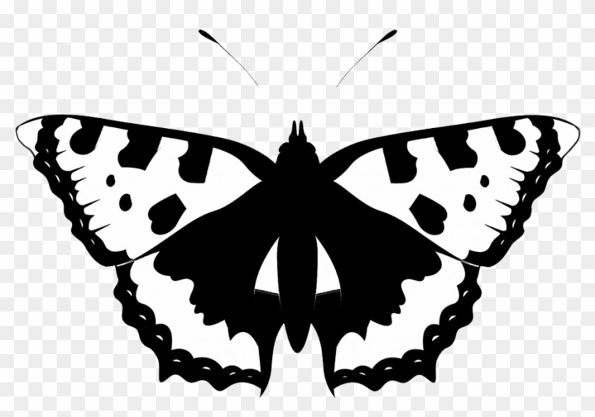 Black White Butterfly Silhouette - Butterflies White Silhouette Png #472893