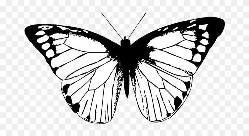Butterfly Black Butterfly Clipart Png - Butterfly Wing Black And White #472898