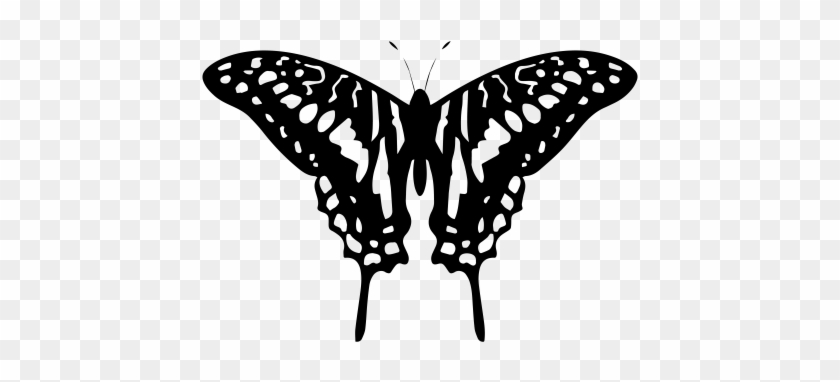 Free Black And White Butterfly Tattoo Design ❥❥❥ Https - Black And White Butterfly Transparent #472910