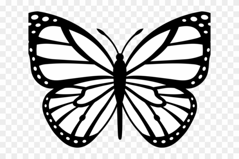 Butterfly Drawings Black And White - Butterfly Drawing Png #472913