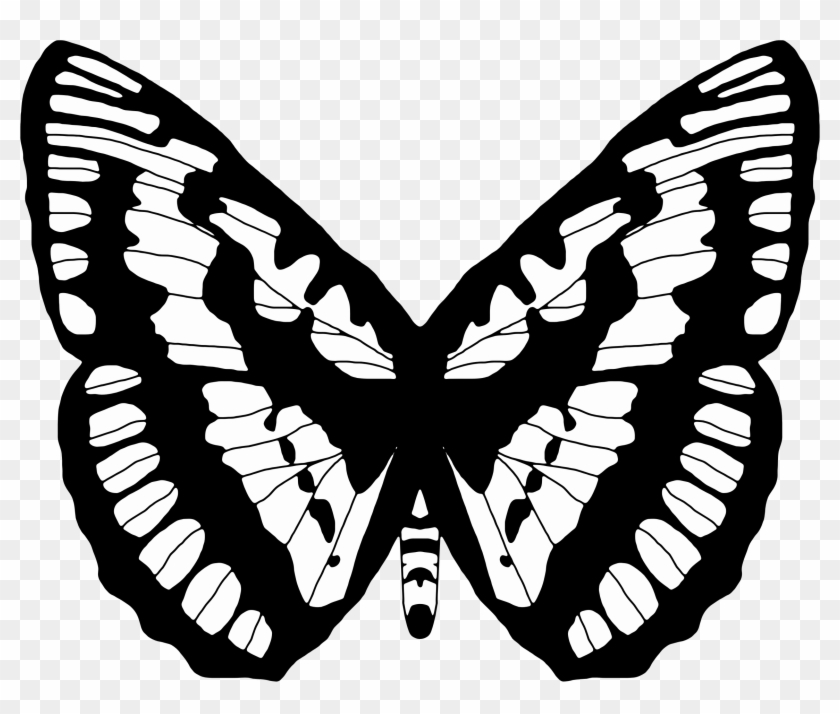 Black And White Butterfly 2 - Symbolism Of The Butterfly #472924