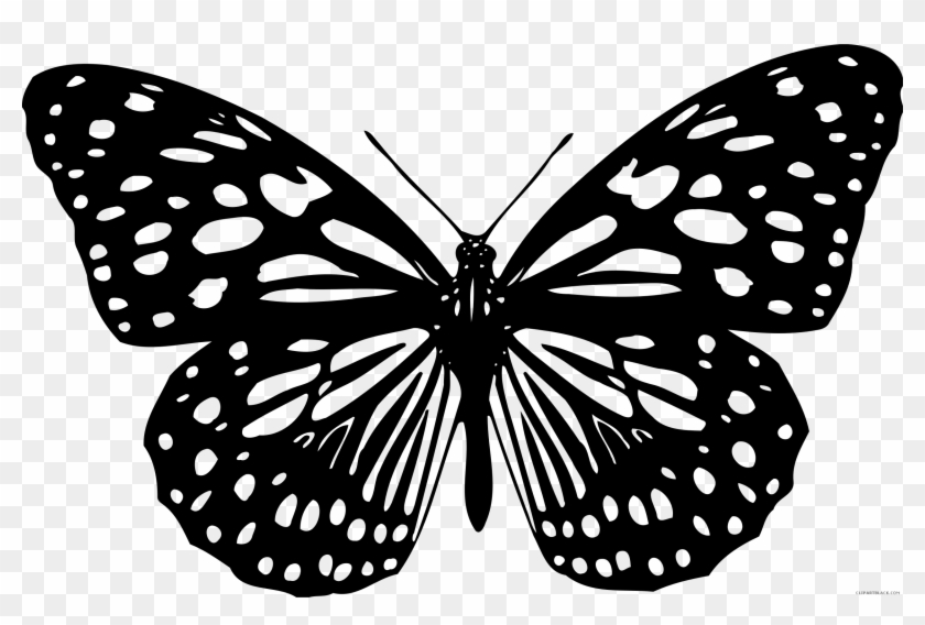 Black And White Butterfly Animal Free Black White Clipart - Butterfly #472978