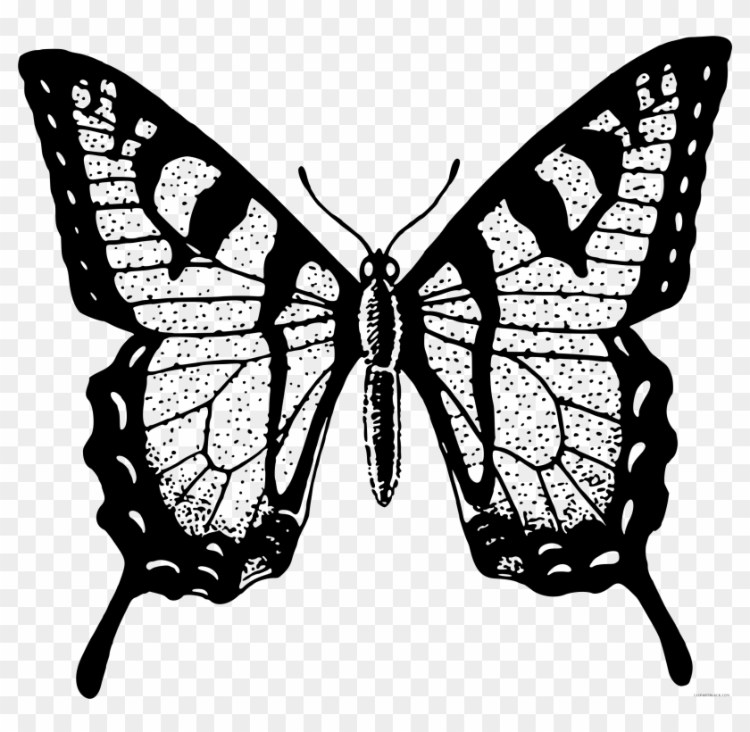 Black And White Butterfly Animal Free Black White Clipart - Butterfly Image Png Black And White #472986