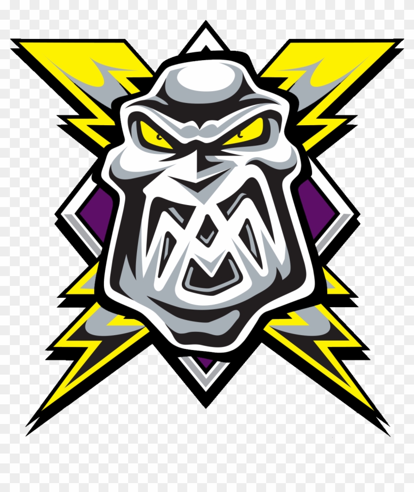 Manchester Storm Elite Ice Hockey League Guildford - Manchester Storm Elite Ice Hockey League Guildford #473022