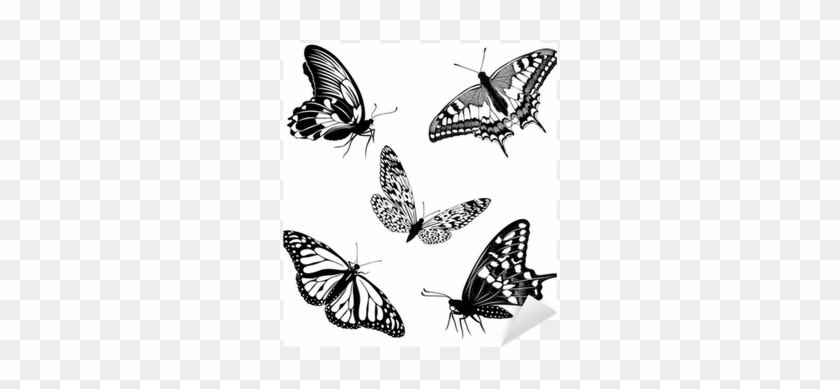 Set Black White Butterflies Of A Tattoo Sticker • Pixers® - Sommerfugle Tegninger Tattoo #473143