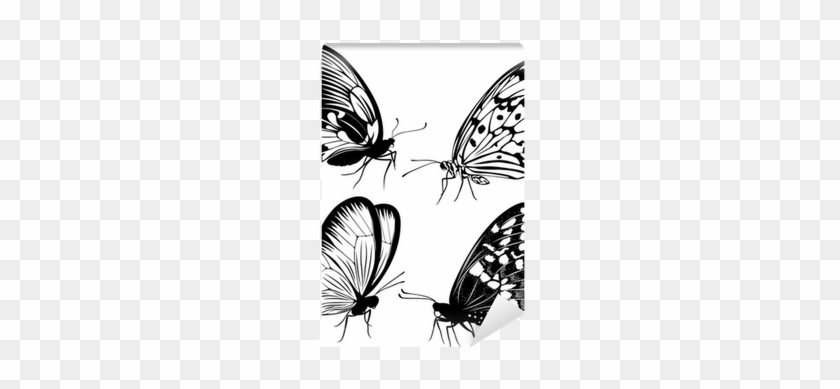 Set Black White Butterflies Of A Tattoo Wall Mural - Tattoo Butterflies #473151