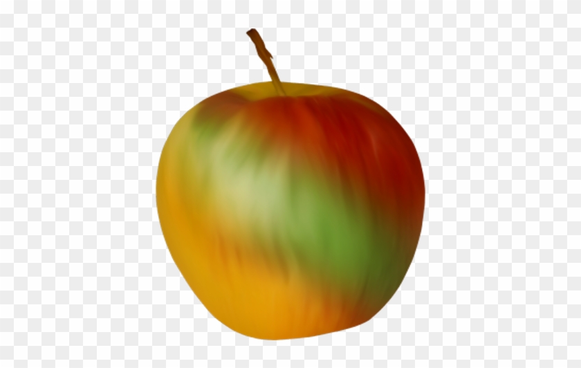 Winter Squash Still Life Photography Apple - Winter Squash Still Life Photography Apple #473508