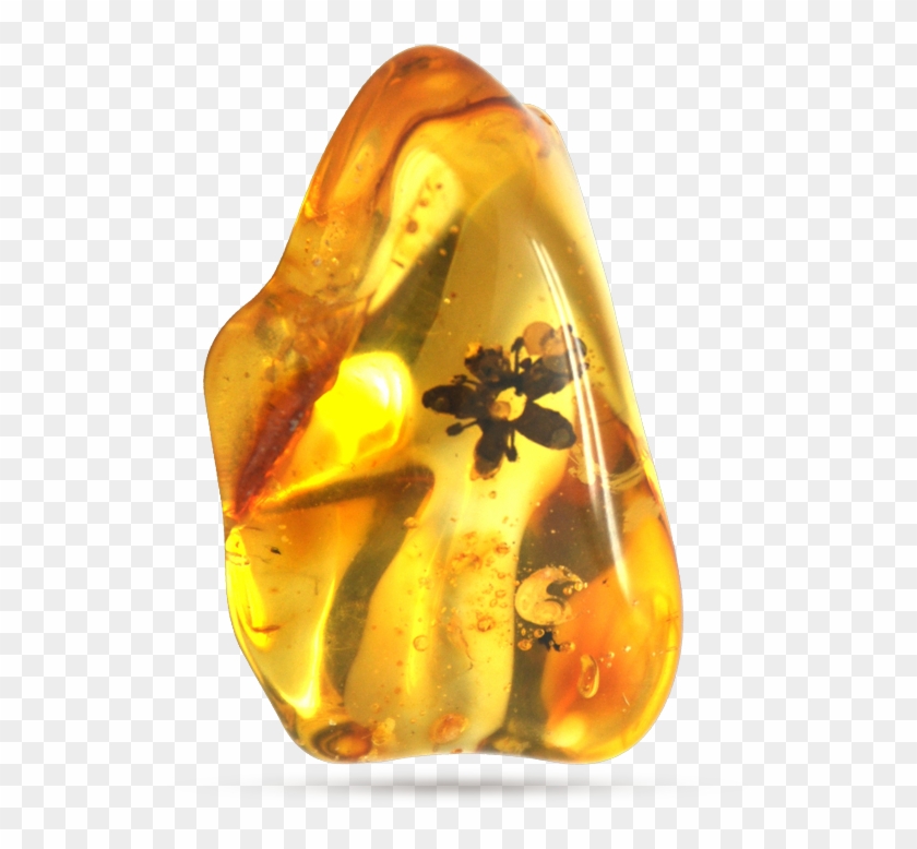 Baltic Amber Wholesale - Amber #473654