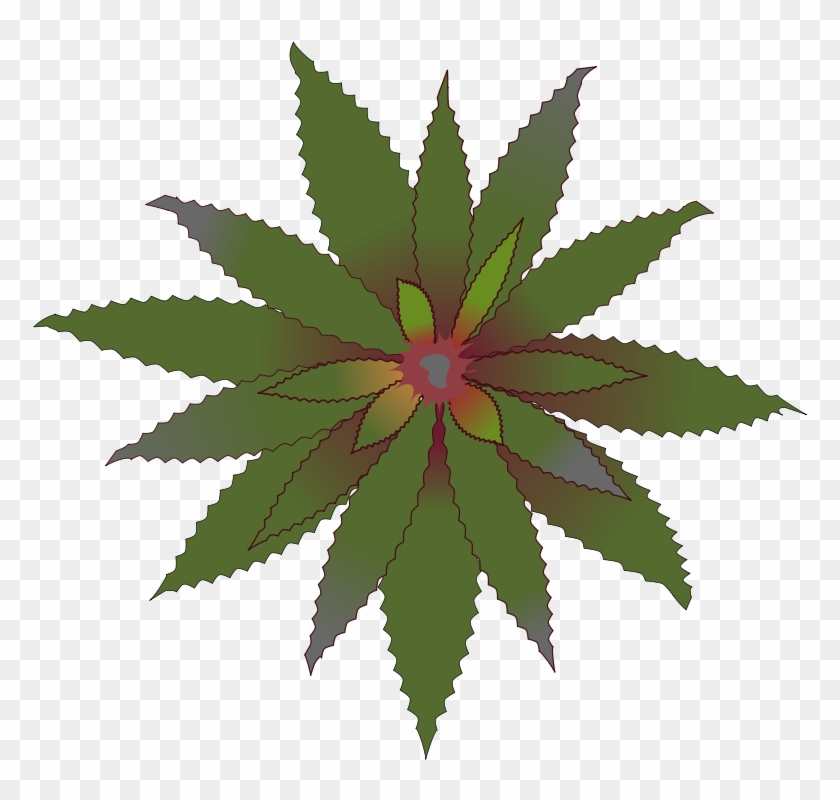 Similar Clip Art - Cannabis #473748