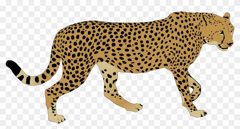 Cheetah Clip Art 18 Cliparts - Cheetah #473949