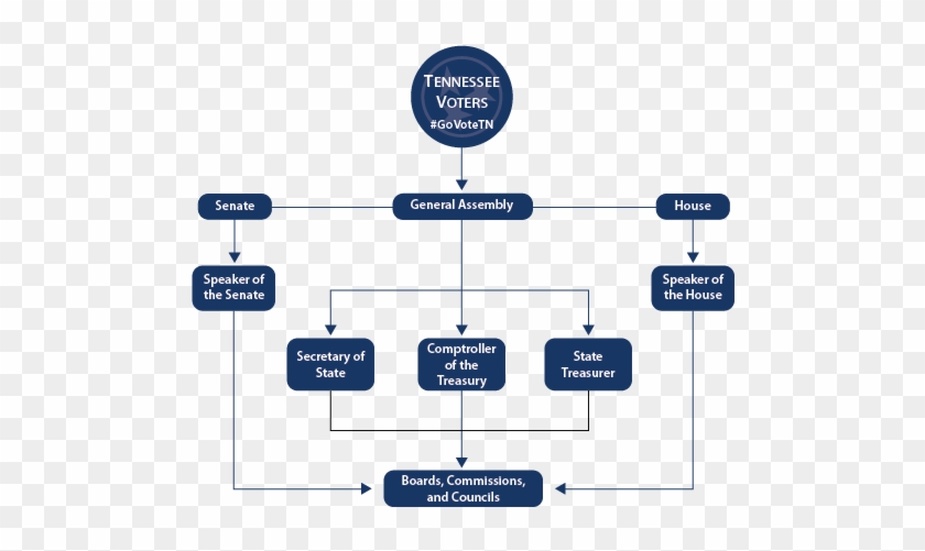 Diagram Of Bicameral Legislature Images Gallery - Tennessee State Government Structure #474323