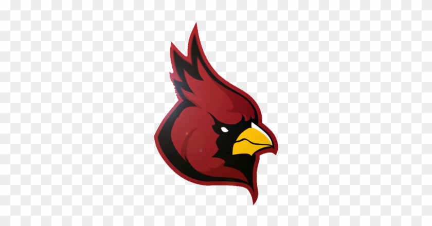 Arizona Cardinals - Arizona Cardinals #474437